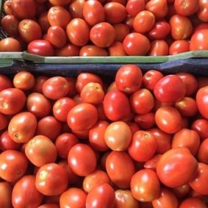 Tomatoes 1kg